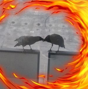 Meet your Posher, Lamont